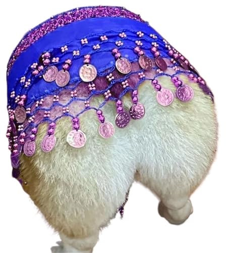 HUFENYU Corgi Hundekostüm for Hunde Hintern Vorhang Kleidung Corgi Hundekostüm Bauchtanzstil mit Pailletten Schütteln Hip Dance Hip Dekoration(Blue) von HUFENYU