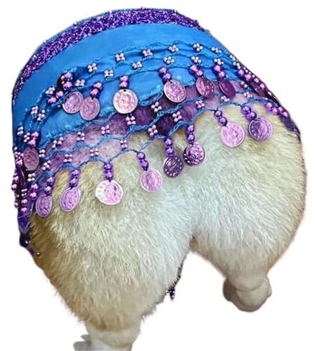 HUFENYU Corgi Hundekostüm for Hunde Hintern Vorhang Kleidung Corgi Hundekostüm Bauchtanzstil mit Pailletten Schütteln Hip Dance Hip Dekoration(Light Blue) von HUFENYU