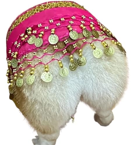 HUFENYU Corgi Hundekostüm for Hunde Hintern Vorhang Kleidung Corgi Hundekostüm Bauchtanzstil mit Pailletten Schütteln Hip Dance Hip Dekoration(Pink) von HUFENYU