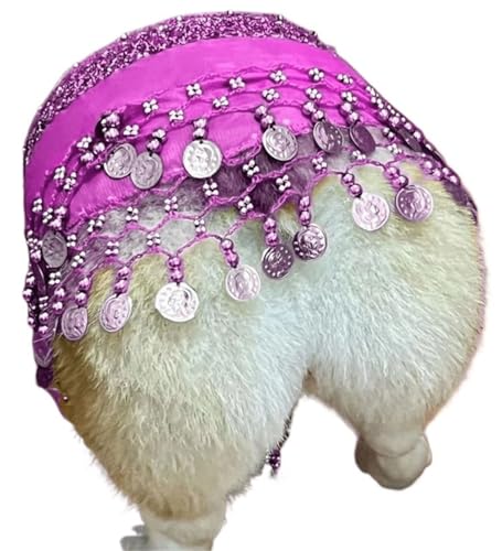 HUFENYU Corgi Hundekostüm for Hunde Hintern Vorhang Kleidung Corgi Hundekostüm Bauchtanzstil mit Pailletten Schütteln Hip Dance Hip Dekoration(Purple) von HUFENYU