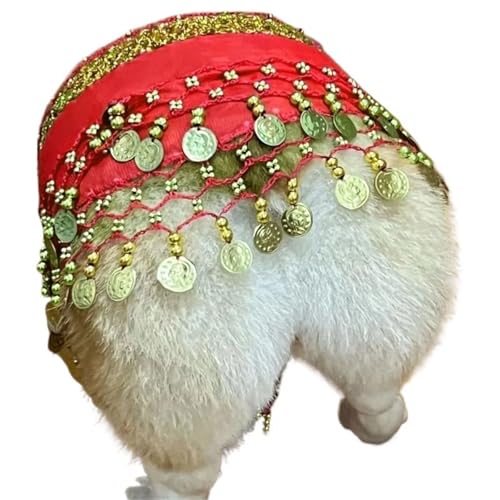 HUFENYU Corgi Hundekostüm for Hunde Hintern Vorhang Kleidung Corgi Hundekostüm Bauchtanzstil mit Pailletten Schütteln Hip Dance Hip Dekoration(Red) von HUFENYU