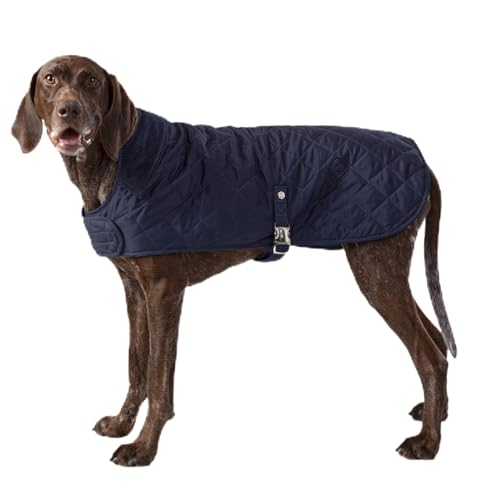 HUGO & HUDSON x Hackett Gesteppte Hundejacke Warmer Wintermantel mit Cordkragen, Marine M50 von HUGO & HUDSON