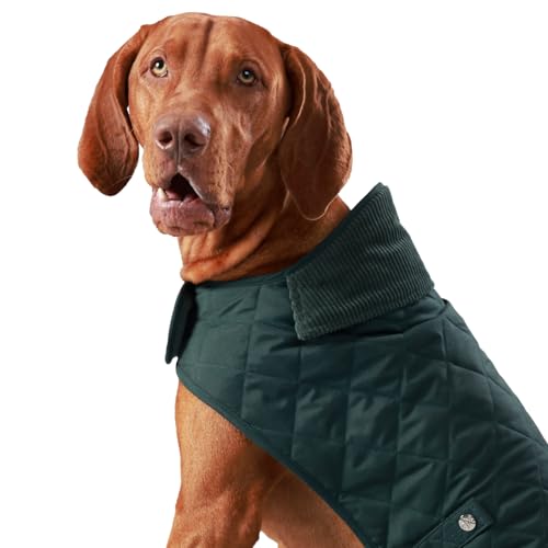 HUGO & HUDSON x Hackett Gesteppte Hundejacke Warmer Wintermantel mit Cordkragen, Waldgrün L von HUGO & HUDSON