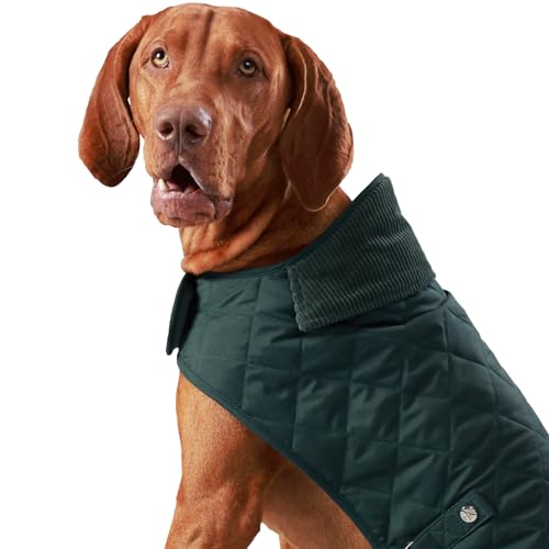 HUGO & HUDSON x HACKETT Gesteppte Hundejacke Warmer Wintermantel mit Cordkragen, Waldgrün, XS25 von HUGO & HUDSON