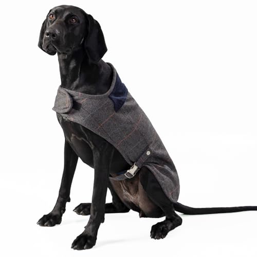 HUGO & HUDSON x Hackett Tweed Hundejacke Mantel Cordkragen, grau kariert Fischgrätmuster L von HUGO & HUDSON