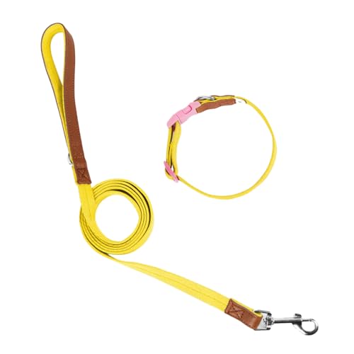 HUIFACAI Hundehalsband, Leine, Schlupfleine, Halsband, langes Haustier, starkes Training, Spazierengehen, Schwimmen, Wandern von HUIFACAI