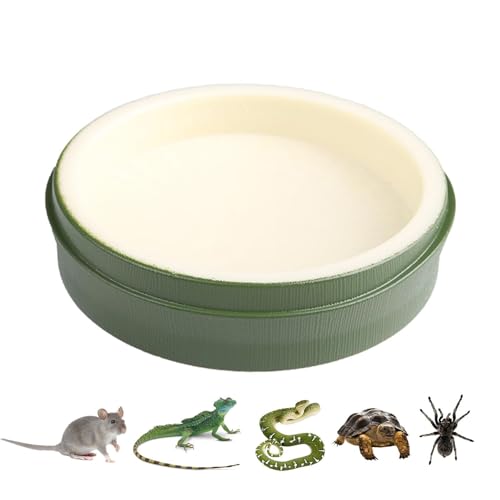 HUNJHYC Reptile Water Bowl - Food Feeder Bowl, ABS Food Feeder Dish Plate for Drinking, Reusable Reptile Feeding Dish Water Bowls for Gecko, Schildkröte, Frosch, Einsiedlerkrebse, Eidechse, Bartdrache von HUNJHYC