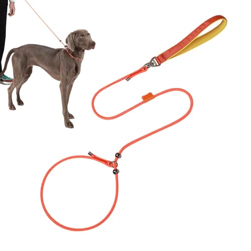 Hundeleinen für das Training, 150 cm, verstellbares Haustier-Zugseil für Hunde, 360-Grad-Drehung, ausbruchsicher, Doppel-Limit-Design von HUNJHYC