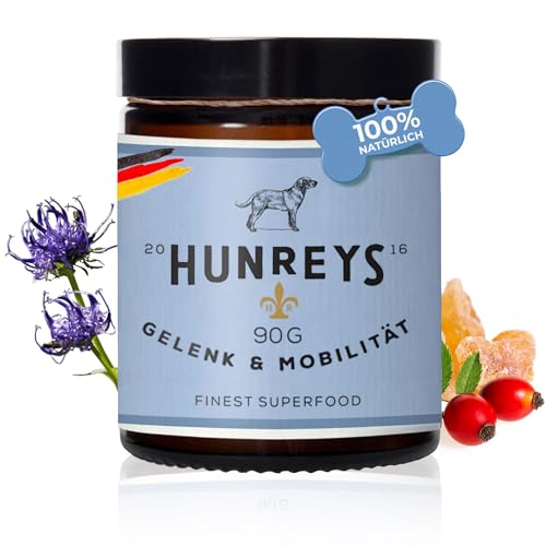 HUNREYS Gelenk & Mobilität Mix 90g | Superfood Mit Glucosamin Für Hunde | Gegen Schmerzen & Arthrose | Pulver Monatspackung | 100% Natürlich & Vegan | Laborgeprüft von HUNREY'S