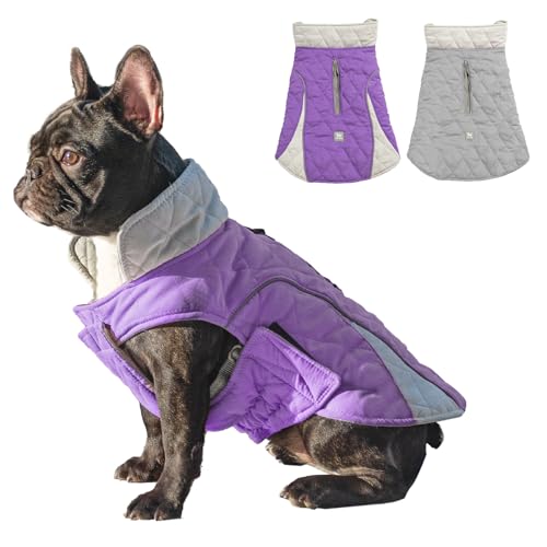 Huntboo Hundemantel, Hundemantel Winter, Hundemantel Wasserdicht, Hundejacke Winter, Winddicht und mit Reflektierenden Streifen, Bleiben Sie Warm und Sichtbar (Lila,L) von Huntboo