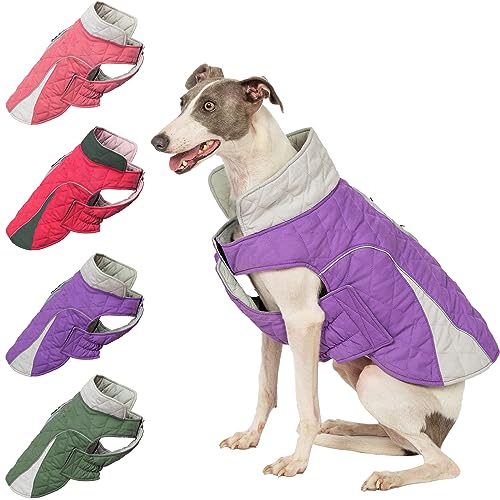 Huntboo Hundemantel, Wintermantel Hund, Hundemantel Wasserdicht, Hundejacke Winter, Winddicht und mit Reflektierenden Streifen, Bleiben Sie Warm und Sichtbar (Lila,XL von Huntboo