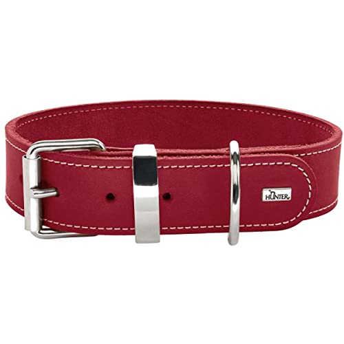 HUNTER AALBORG SPECIAL Hundehalsband, Leder, strapazierfähig, komfortabel, 50 (S-M), rot von HUNTER