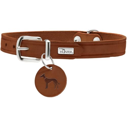 HUNTER AALBORG Hundehalsband, Leder, schlicht, robust, komfortabel, 37 (XS-S), cognac von HUNTER