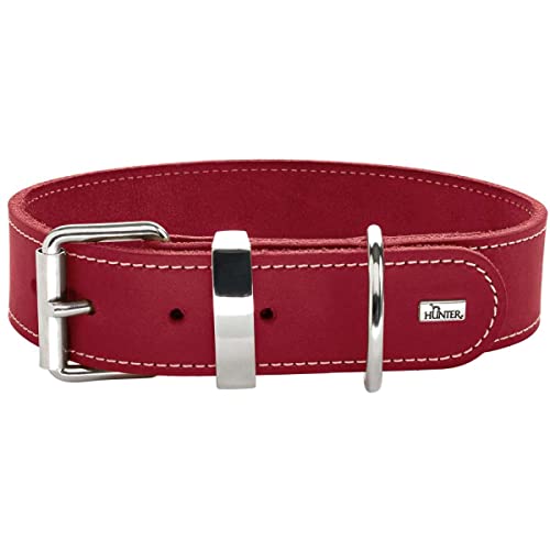 HUNTER AALBORG SPECIAL Hundehalsband, Leder, strapazierfähig, komfortabel, 30 (XXS-XS), rot von HUNTER