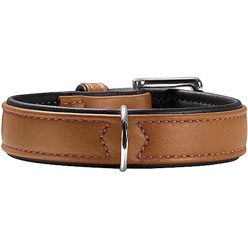 HUNTER CANADIAN Hundehalsband, Leder, hochwertig, weich, 40 (S), cognac/schwarz von HUNTER