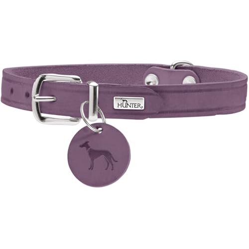 HUNTER Hundehalsband Aalborg, Farbe: lila, Robustes & strapazierfähiges Leder, Starke Fettung, ideal für Hundesport & Alltag, mit Lederanhänger, Made in Germany, Größe: 42 von HUNTER