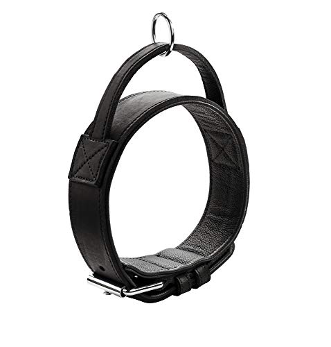 HUNTER Trainingshalsband mit Griff Larvik M-L (60), Schwarz von HUNTER