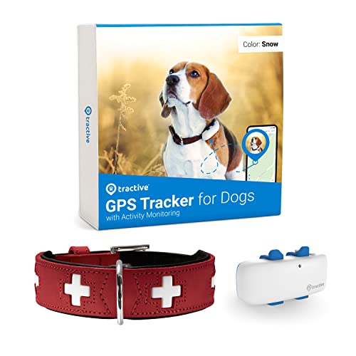 HUNTER Halsband Swiss S-M (42), rot/schwarz, Tractive GPS Tracker für Hunde (Weiß), GPS mit unbegrenzter Reichweite + Hundehalsband von HUNTER