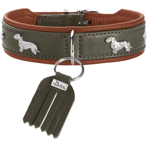 HUNTER Teckel-Halsband MÜNCHEN, Farbe: grün/Cognac, Leder, edle Dackel-Besätze, weich und robust, fellschonend, luxuriös, ökologisch hergestellt, nachhaltig, Made in Germany, Größe: 32 von HUNTER