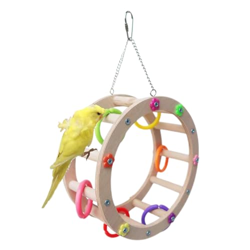 Vogelspielzeugleiter - Papageienschaukel-Kauspielzeug - Vogelfutter Spielzeug Papagei Riesenrad Spielzeug für Eichhörnchen Papagei, Spatz, Sittich Hunya von HUNYA