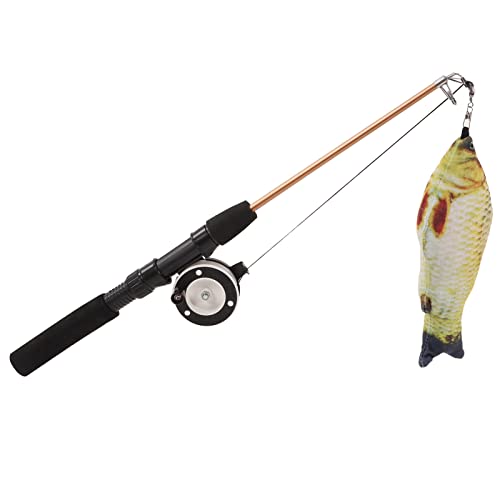 HUONIU Interaktiver Katzenstab mit simuliertem Fisch und einziehbarer Angelrute (Crucian carp + Fishing Rod) von HUONIU