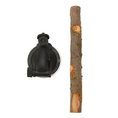 HUONIU Vogelsitzstange aus Holz mit Saugnäpfen, Rutschfester Ständer für interaktives Training Kleiner und mittlerer Vögel, 25 cm (15CM) von HUONIU