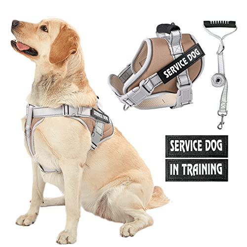 HUSDOW Hundegeschirr & 1.5 m Hundeleine, kein Ziehen Service Hundeweste Geschirr mit Griff, verstellbar und nachts reflektierend, mittelgroße und große Haustiere zum Gehen und Laufen (Braun, XS) von HUSDOW