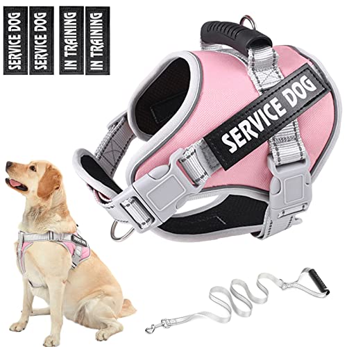 HUSDOW Hundegeschirr & 1.5 m lange Hundeleine, kein Ziehen, Hundeweste mit Griff, verstellbar und nachtreflektierend, kein Ersticken, mittelgroße und große Haustiere zum Gehen und Laufen (Rosa, XL) von HUSDOW