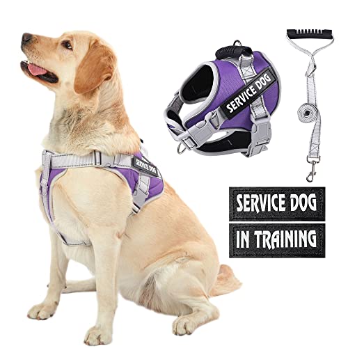 HUSDOW Service Dog Vest Geschirr, kein Ziehen in das Training von Hundegeschirr mit Griff & 1.5 m Hundeleine, kein Keil Geschirr für große Haustiere zum Gehen und Laufen (Lila, L) von HUSDOW