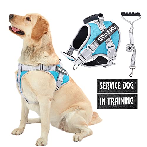 HUSDOW Service Dog Vest Harness No Pull in Training Dog Harness with Handle & 1,5m Dog Leash, Adjustable and Reflective No Chock Harness for Large Pets for Walking and Running (Türkis, L) von HUSDOW