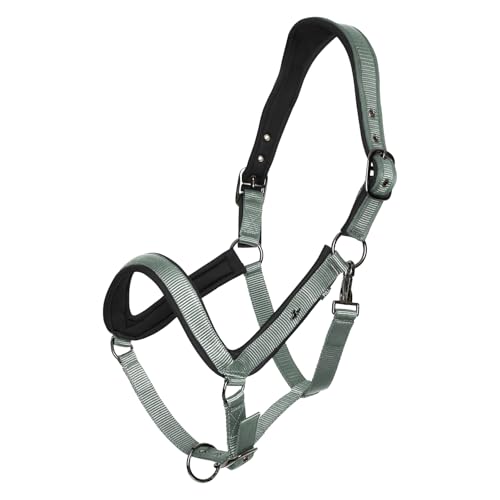 HV Polo Headcollar HVPEssential, P, Greenery von HV Polo