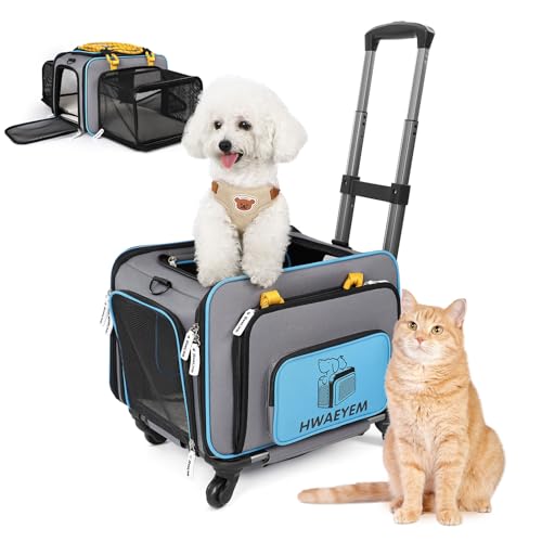 Katzentransportbox Transporttasche mit Rollen Kleine Hund Kleine und Mittelgroße Kleintiere Transportboxen für Flugzeug Haustiere Reisen Wagen Rollen mit Teleskopgriff Schultergurt Abnehmbare Räder von HWAEYEM