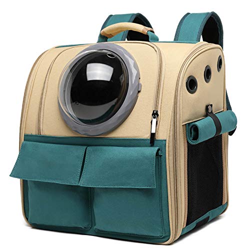 Pet Carrier Rucksacke Erweiterbarer, Tragbarer, Atmungsaktiver Rucksack mit Netz, Durchsichtig Sichtbar, Zum Tragen von Welpenkatzen/A / 370×250×380mm von HXFENA