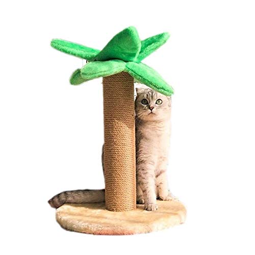 Katzenbäume Kokosnussbaum Katzenklettergerüst Spielzeugstreu Kratzbrett Villa Brett Springtisch Krallen Hanfseilgestell, Pfosten Kitty Pet Play House von HXFFXHF