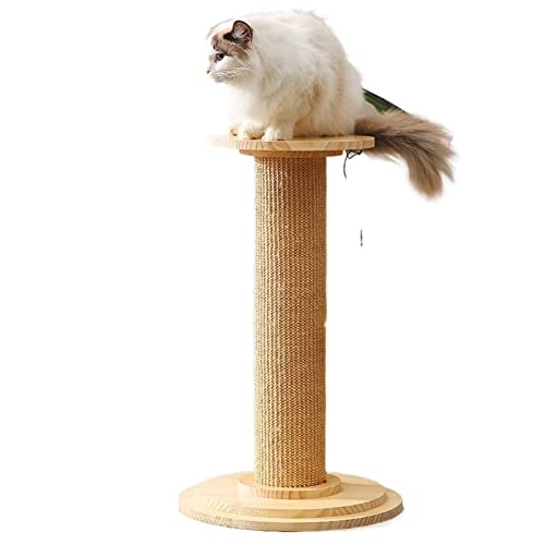 Katzenbäume Massives Katzenkratzbrett Vertikale Katzenkratzsäule Klettergerüst für Katzen Schleifklauensäule Katzenbedarf Spielzeug (Größe: L, Holzfarbe) von HXFFXHF