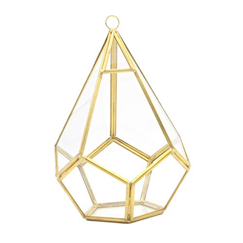 Fünfseitiges Rhombus-Glasregal, geometrisches Sukkulenten-Terrarium für Desktop-Dekoration, groß, transparent von HXNH