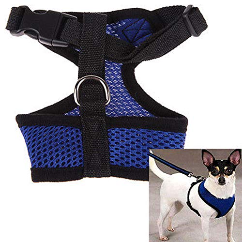 Hundegeschirr für kleine Hunde, Welpen, Katzen, Weste, Geschirr, Halsband für Chihuahua, Mops, Bulldogge, Katze (Farbe: Blau, Größe: XL) von HXSCOO