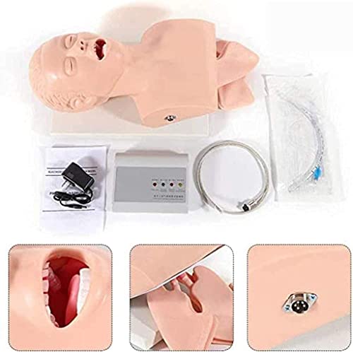 HYDZSWZX Tracheale Intubationspuppe for Erwachsene, Atemwegsmanagement-Trainer, Übungspuppe for Thoraxdrainage-Trainer, Atemwegsintubation, Atemwegsmanagement-Trainer, Intubationsleiter, Lehrstudie von HYDZSWZX