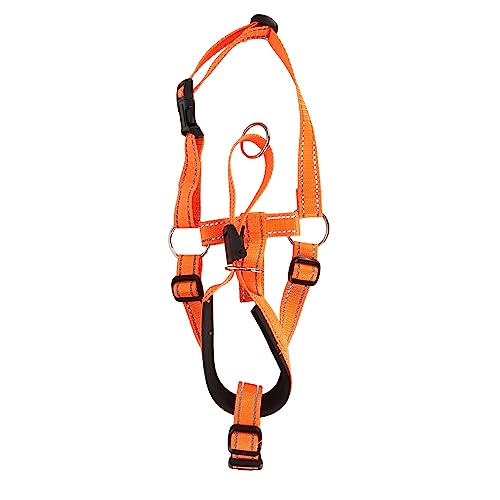 HYEIUIRA Halfter für Hunde, verstellbar, verhindert Beißen, Bellen, atmungsaktives Nylon, Hunde-Mundschutz, Spazierengehen, Training, Orange (L) von HYEIUIRA