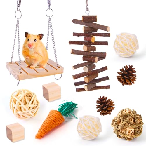 HYEIUIRA Hamsterspielzeug-Set, sicheres Holz-Kauspielzeug, Zähneknirschen, interaktives Kaninchenspielzeug, Zahnpflege, Papageien, Spielzeug-Sets von HYEIUIRA