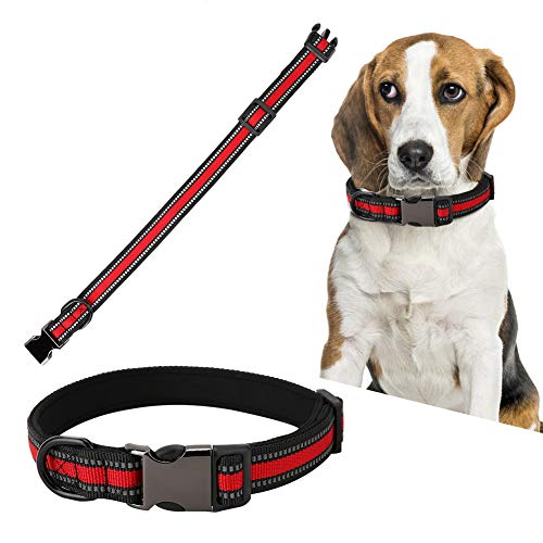 HYEIUIRA Personalisiertes Haustier-ID-Halsband: Durab1e Umhängeband für Welpen, Hunde und Katzen, Größe M von HYEIUIRA