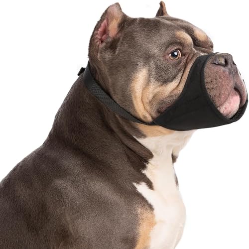 HYHIOTS Maulkorb Hunde für Kleine Mittlere Hunde, Giftköderschutz Verhindert Fressen Bellen für Chihuahua, Shih Tzu Bulldogge, Pitbull (Schwarz, XL) von HYHIOTS