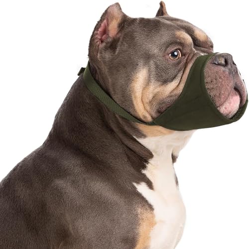 HYHIOTS Maulkorb Hunde für Kleine Mittlere Hunde, Giftköderschutz Verhindert Fressen Bellen für Chihuahua, Shih Tzu Bulldogge, Pitbull (Grün, XL) von HYHIOTS