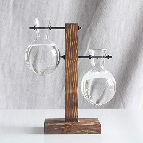 HYLYING Pflanzen-Terrarium mit Holzständer, Hydrokultur-Vase, Glas-Pflanzgefäß, Glühbirnenform, Vase für Zuhause, Büro, Garten Dekoration von HYLYING