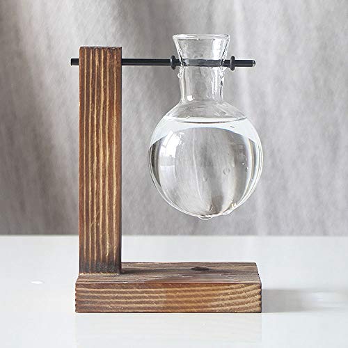 HYLYING Pflanzen-Terrarium mit Holzständer, Hydrokultur-Vase, Glas-Pflanzgefäß, Glühbirnenform, Vase für Zuhause, Büro, Garten Dekoration von HYLYING