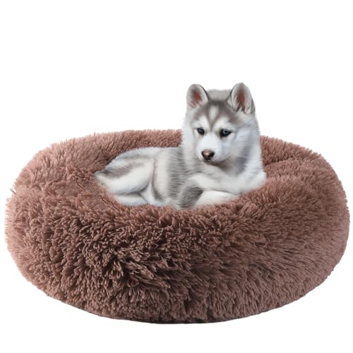 HYQ Calming Dog Bed, Round Donut Dog Bed, Cat Beds for Indoor Cats, Fluffy Faux Fur Plush Small Dog Bed, Washable Puppy Bed with Anti Slip Bottom, Dog Beds for Small Dogs-(Khaki, 17 Inch) von HYQ