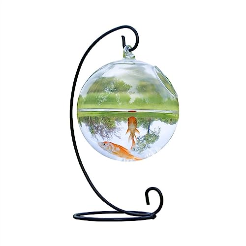 HYQOUKLR Aquarium-Fischbehälter, hängendes Glas-Aquariumbehälter, transparent, verdickt mit Eisenhalterung, Fischbehälter, Kleiner minimalistischer ökologischer Behälter, Fischschale von HYQOUKLR