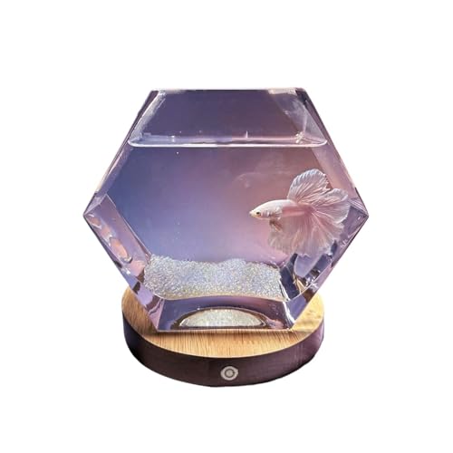 HYQOUKLR Aquarium-Kampffisch-Aquarium mit Sockel, fünfeckiges transparentes Glas, kleines Aquarium, Wohnzimmer, Desktop, dekorative Ornamente, Fischschale von HYQOUKLR