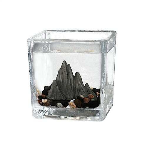 HYQOUKLR Aquarium Kleines Aquarium Desktop Quadratisches Aquarium Ökologische Mikrolandschaft Gästezimmer Büro Kleine Ornamente Teetasse Glas Landschaft Gitter Aquarium Fischschale(L) von HYQOUKLR