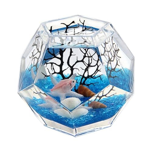 HYQOUKLR Aquarium Polyedrisches verdicktes Glas Aquarium Kreativer Desktop Dekoratives Aquarium Kampffisch Aquarium Transparentes Aquarium Fischschale(L) von HYQOUKLR